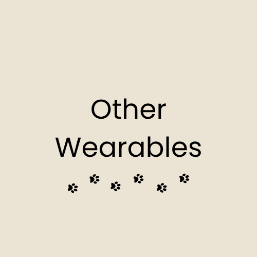 Other Wearables